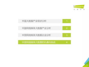 2016年中国数据驱动型互联网企业大数据产品研究报告 工业互联网数据服务的关键态势与启示